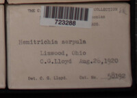Image Associated With the Occurence